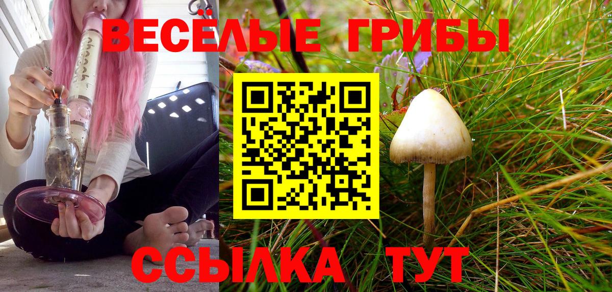 Галлюциногенные грибы Psilocybine cubensis  Вход с VPN  Топки 